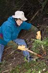 Trail Brushing