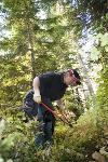 Trail Brushing