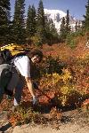 Trail Maintenance