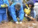 Revegetation