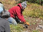 Revegetation