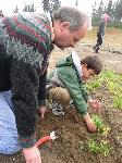 Revegetation