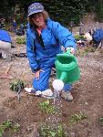 Revegetation