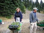 Revegetation