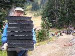 Revegetation