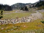 Restoring the Sunrise Campground