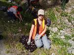 Exotic Plant Removal