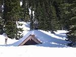 Backcountry Ski Patrol