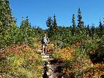 Backcountry Patrol
