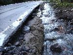 Inspecting Damaged Road