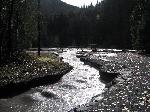 Kautz Creek at Kautz Helibase