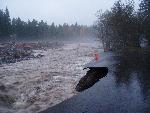Nisqually River Erodes Bank