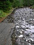 Historic Longmire Campground Road