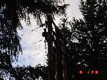 Utility Crews Restore Electricity at Longmire