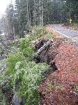 Eroded Embankment at Milepost 9.1