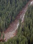 Landslide Near Ohanapecosh Campground 2