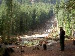 Landslide Viewed from Campground