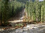 Landslide at Ohanapecosh