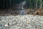 Bottom of the Landslide