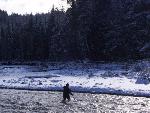 Winter River Survey