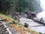 Tahoma Creek at Sunshine Point Campground
