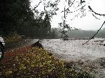 The Nisqually River at Sunshine Point Campground
