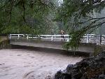 Tahoma Creek - Under the Bridge