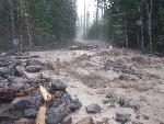 Tahoma Creek Crosses Westside Road