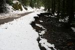Westside Road Shows Effects of Storm
