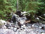 Footbridge on Carbon Glacier Trail