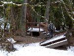 Boardwalk at Grove of the Patriarchs