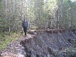 Kautz Creek Trail