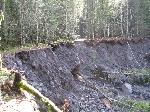 Damage to Kautz Creek Trail