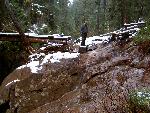 More Damage to Silver Falls Trail