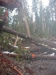 Wonderland Trail