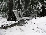 Snow-covered picnic table on its side against tree