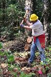 Trail Repair: Wonderland Trail: Cougar Rock