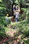 Trail Repair: Wonderland Trail: Cougar Rock