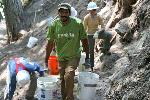 Trail Repair: Wonderland Trail: Carter Falls