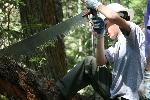 Trail Repair: Wonderland Trail: Cougar Rock