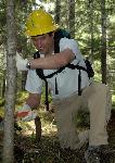 Trail Repair: Wonderland Trail: Cougar Rock