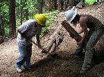 Trail Repair: Comet Falls