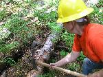 Trail Repair: Comet Falls