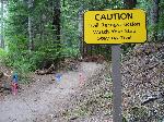 Trail Repair: Wonderland Trail: Cougar Rock