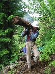Trail repair: Wonderland Trail: Stevens Canyon