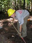 Trail repair: Wonderland Trail: Cougar Rock