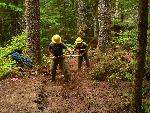 Trail repair: Wonderland Trail: Cougar Rock