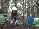 Trail repair: Wonderland Trail: Stevens Canyon