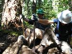Trail repair: Wonderland Trail: Stevens Canyon