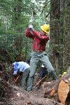 Trail Repair: Wonderland Trail: Cougar Rock